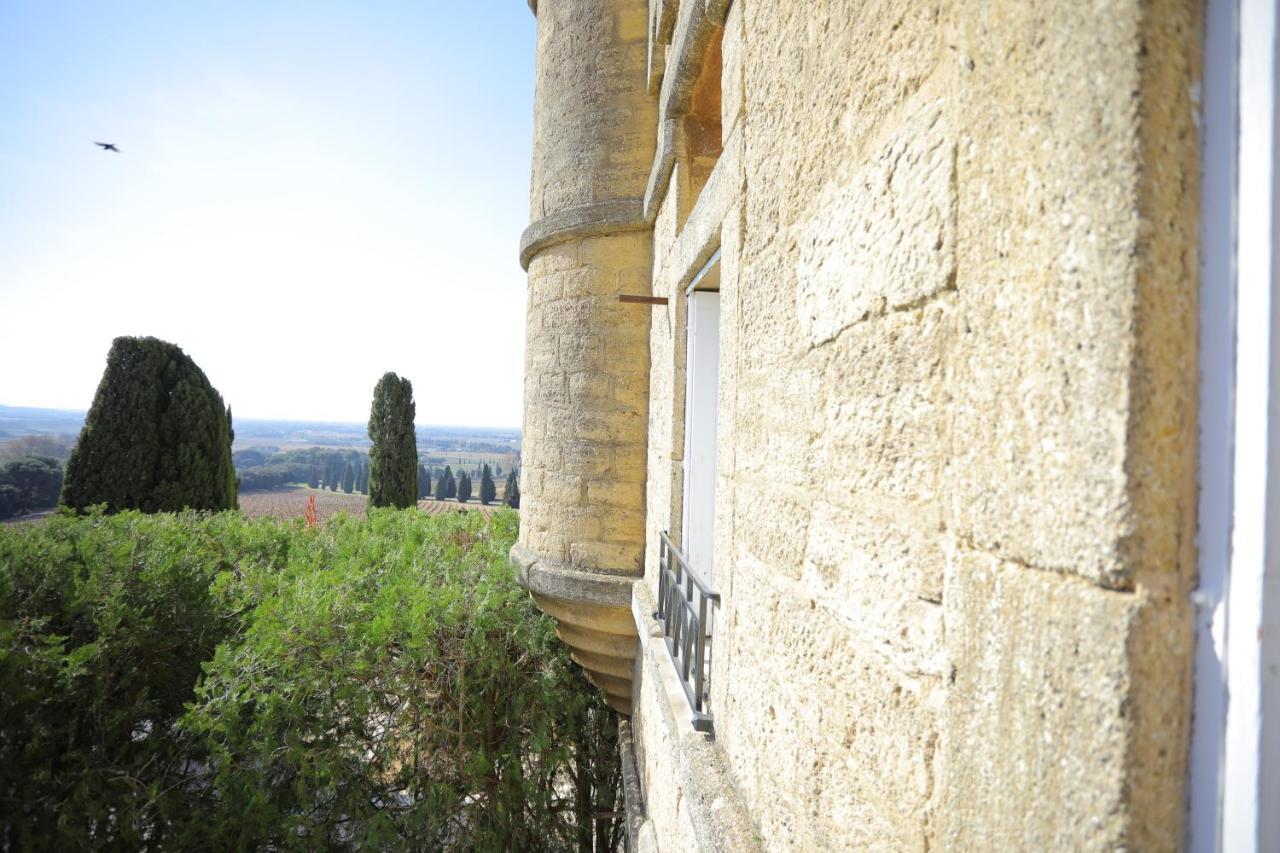 Hostellerie Du Chateau Des Fines Roches Шатонёф-дю-Пап Экстерьер фото
