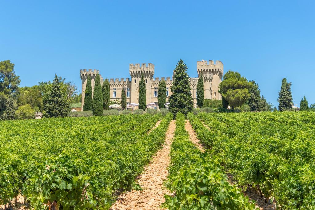 Hostellerie Du Chateau Des Fines Roches Шатонёф-дю-Пап Экстерьер фото