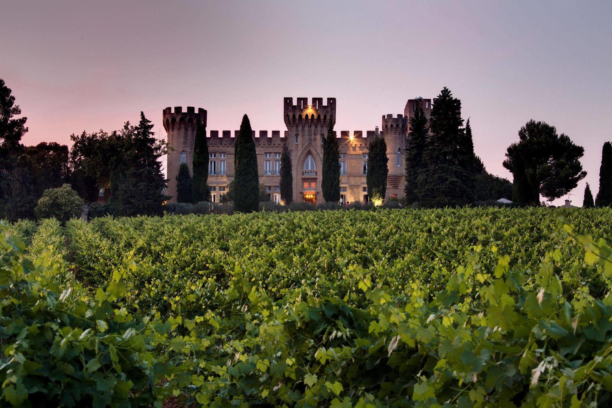 Hostellerie Du Chateau Des Fines Roches Шатонёф-дю-Пап Экстерьер фото